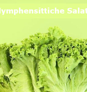 können nymphensittiche salat fressen